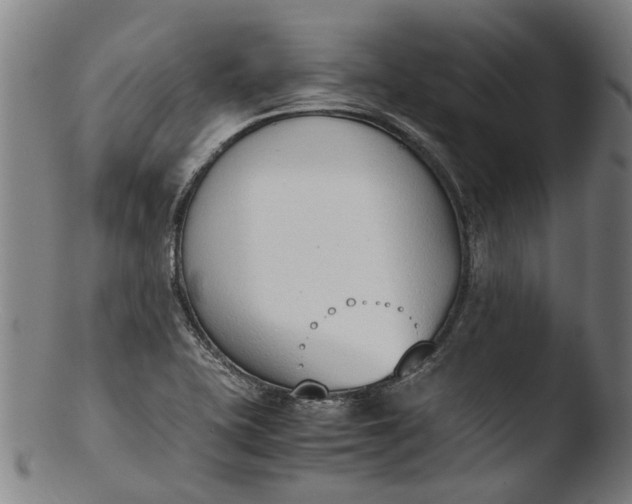 X0000103451415200809261806