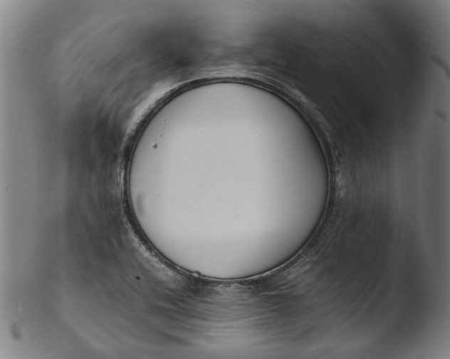 X0000103451416200809261806