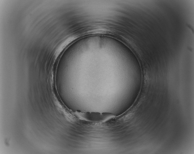 X0000103451418200809261806