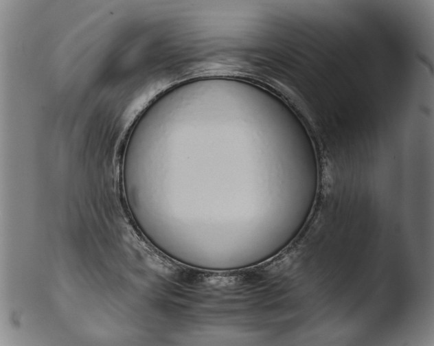 X0000103451419200809261806