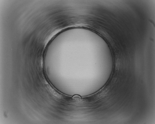 X0000103451420200809261806