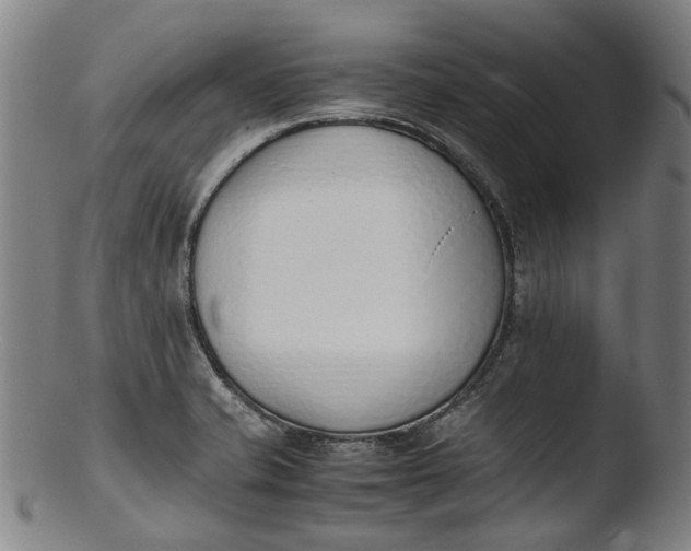 X0000103451421200809261806