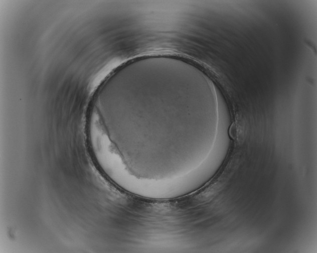 X0000103451422200809261806