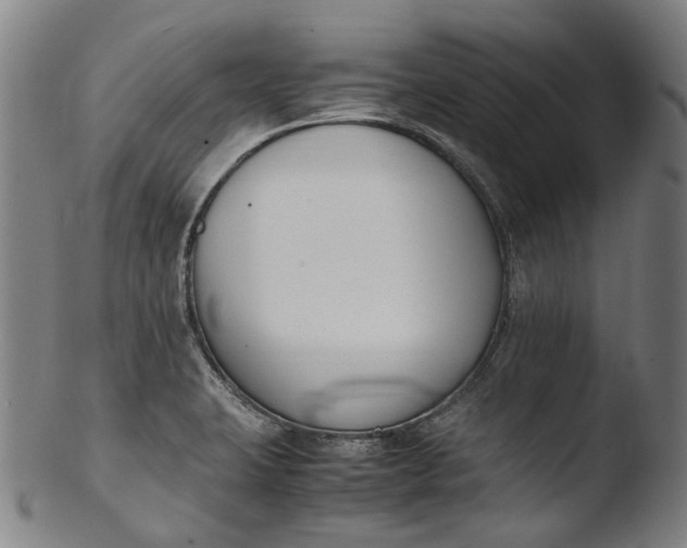 X0000103451423200809261806