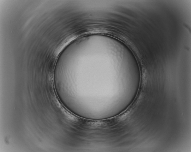 X0000103451425200809261806