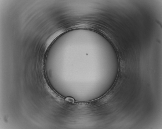 X0000103451426200809261806