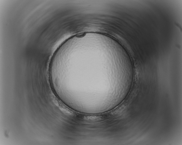 X0000103451427200809261806