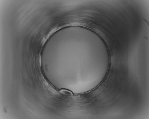 X0000103451428200809261806