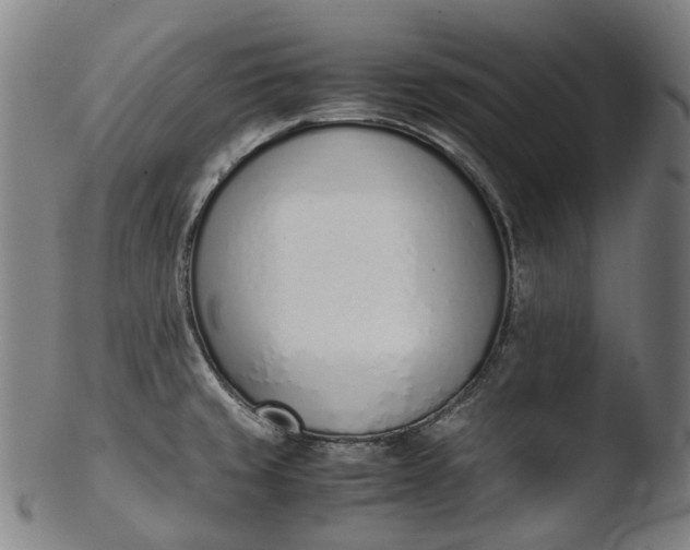 X0000103451429200809261806