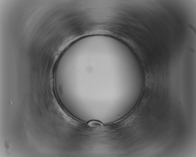 X0000103451430200809261806