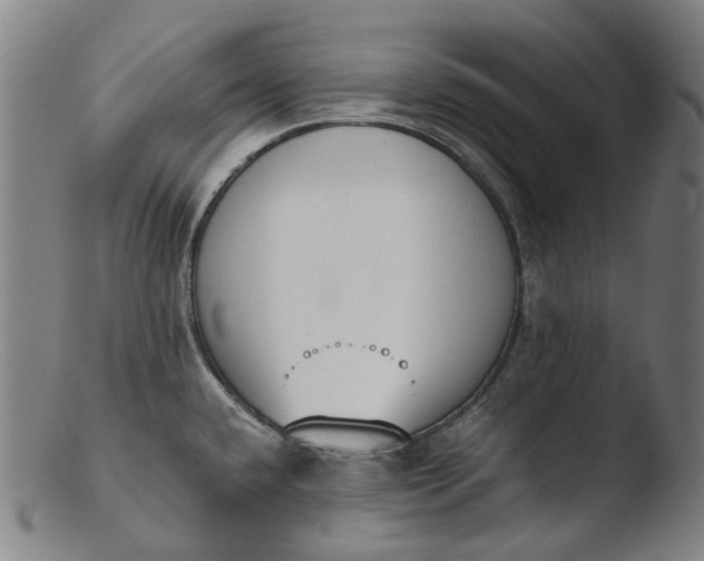 X0000103451432200809261806