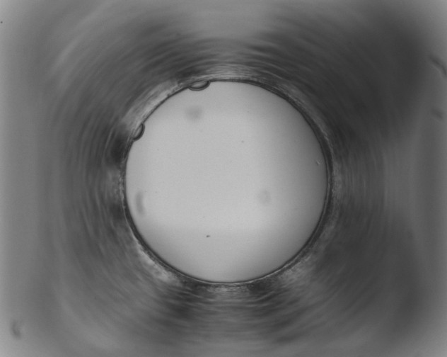 X0000103451433200809261806