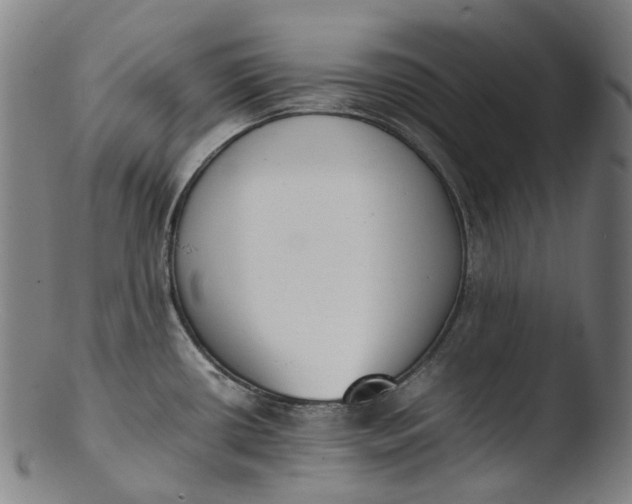 X0000103451434200809261806