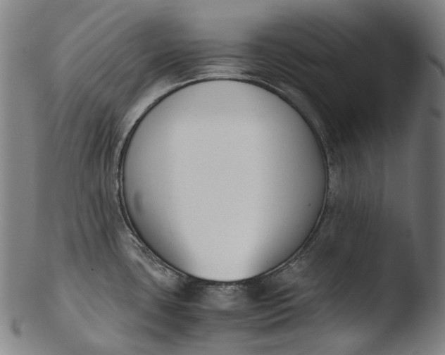 X0000103451435200809261806