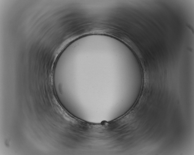 X0000103451436200809261806