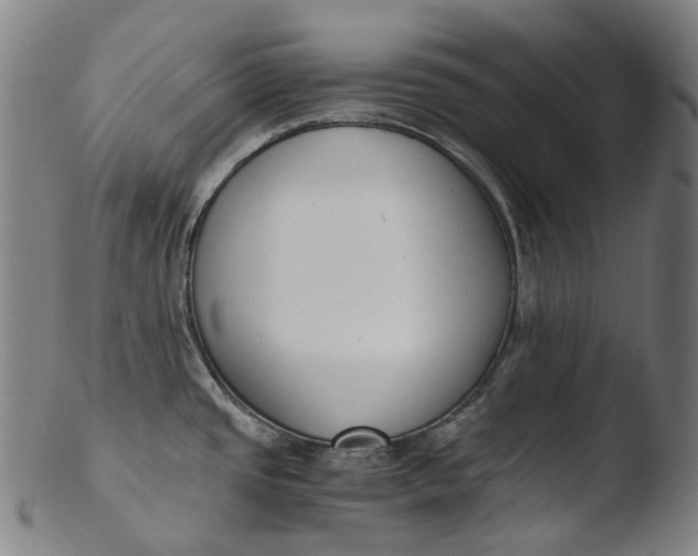 X0000103451437200809261806