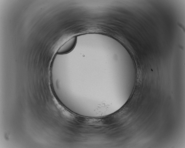 X0000103451439200809261806