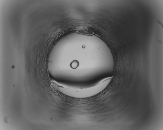 X0000103451441200809261806