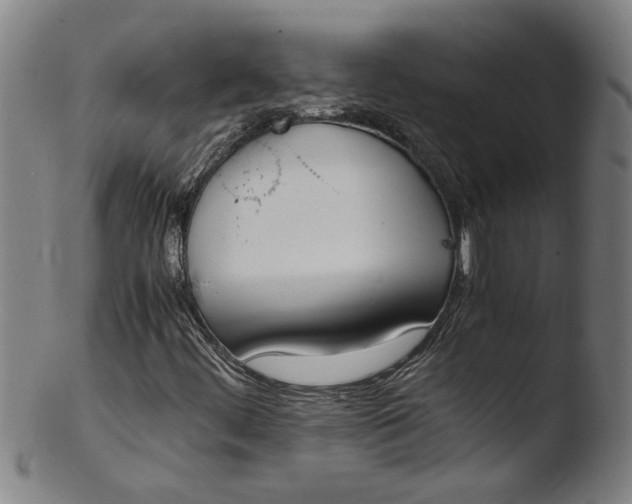 X0000103451444200809261806