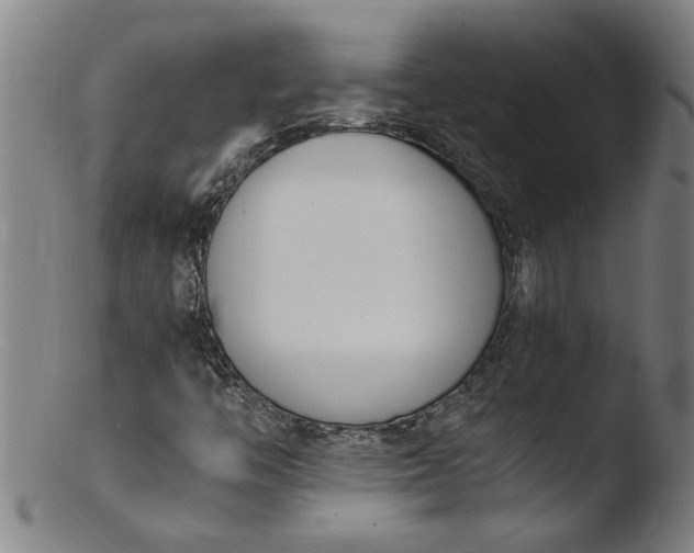 X0000103451446200809261806