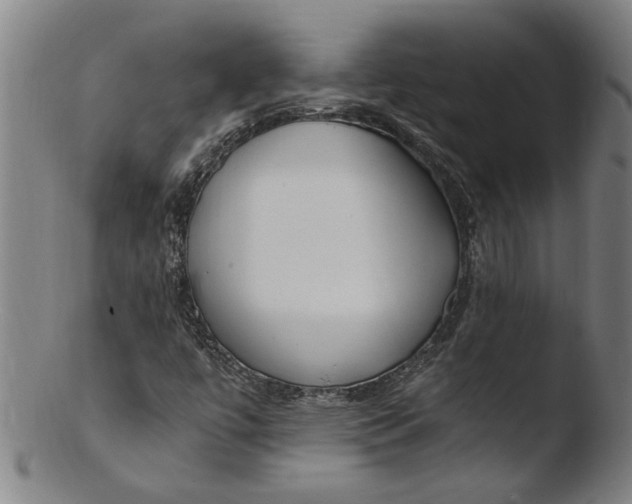 X0000103451447200809261806