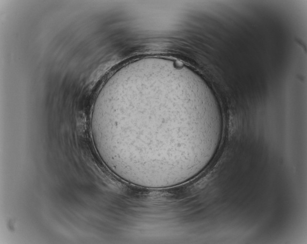 X0000103451449200809261806