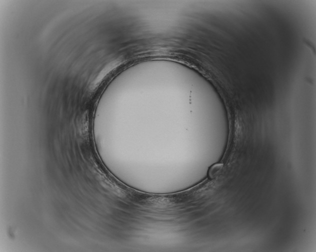 X0000103451450200809261806