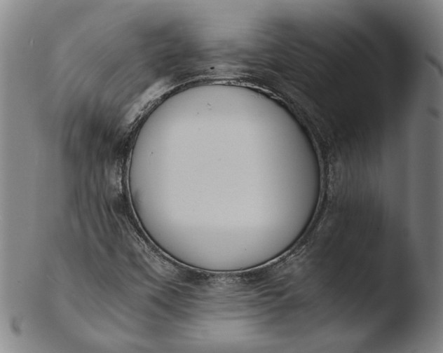 X0000103451451200809261806