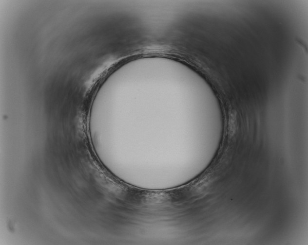 X0000103451454200809261806