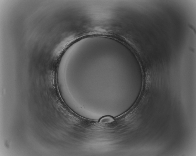 X0000103451455200809261806