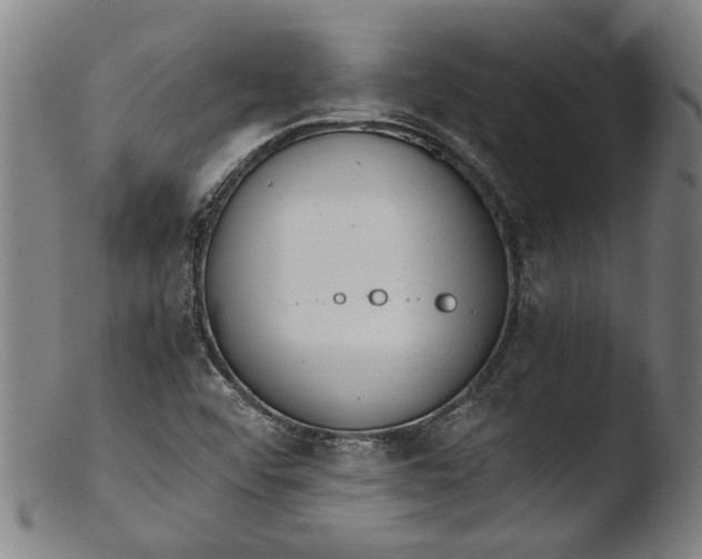 X0000103451456200809261806