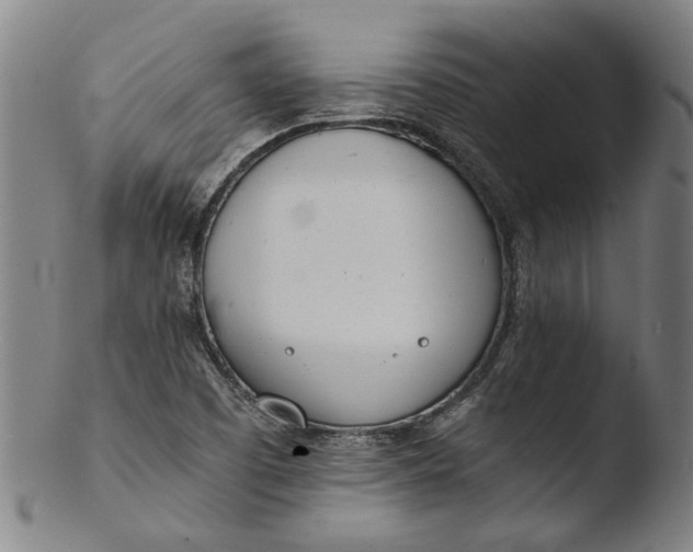 X0000103451457200809261806