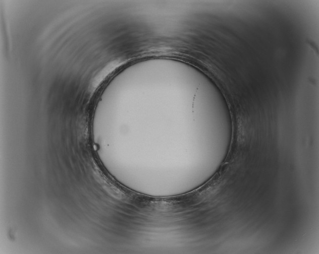 X0000103451458200809261806