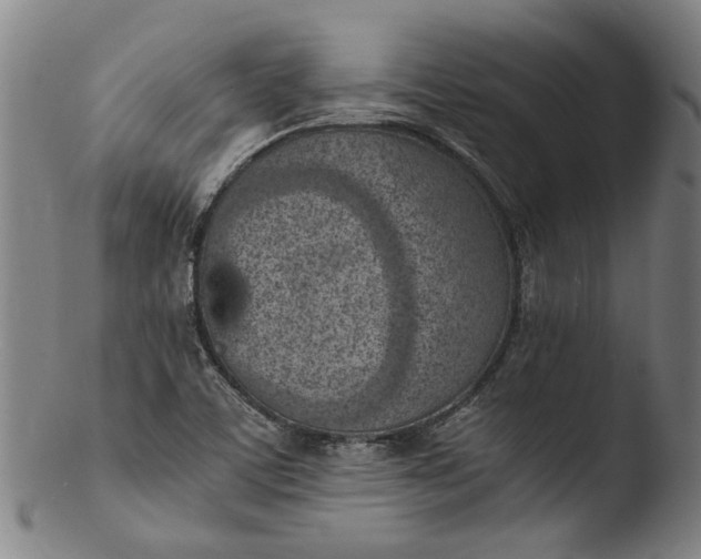 X0000103451459200809261806