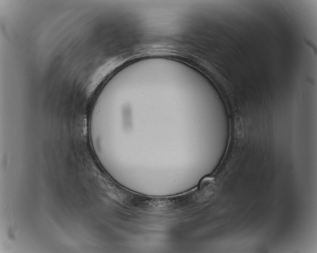 X0000103451461200809261806