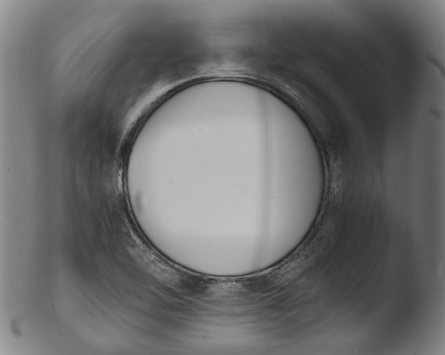 X0000103451462200809261806