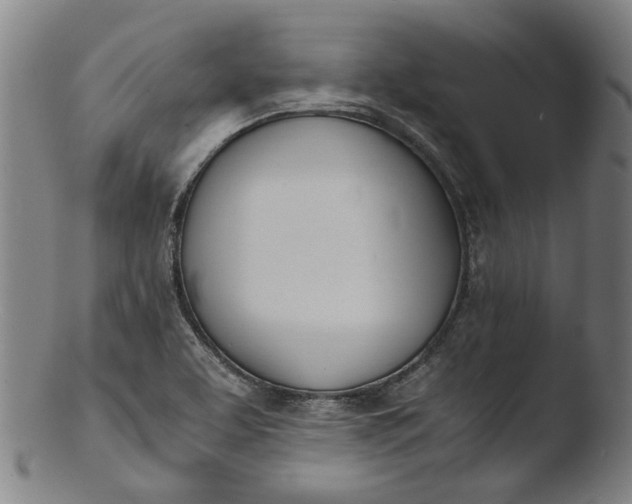 X0000103451463200809261806