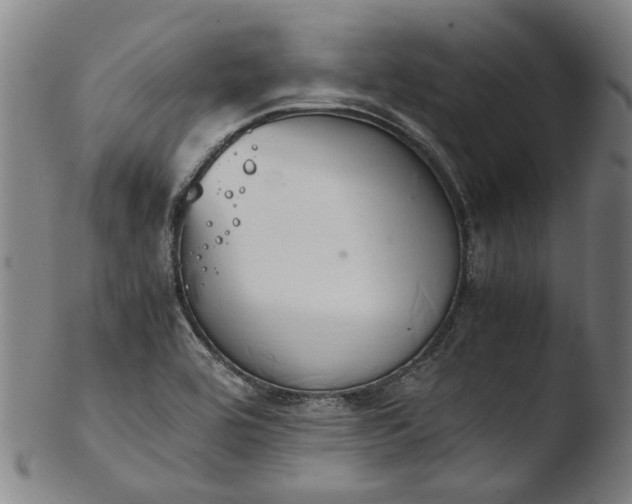 X0000103451464200809261806