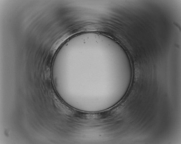 X0000103451465200809261806