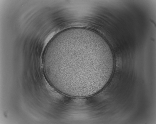 X0000103451466200809261806