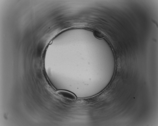 X0000103451467200809261805