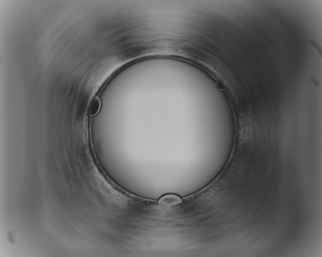 X0000103451468200809261805