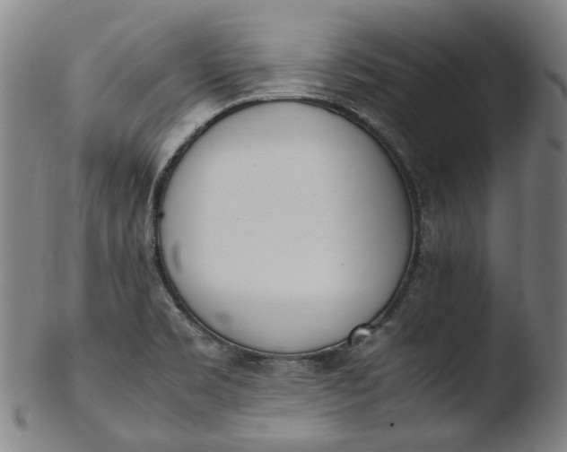 X0000103451469200809261805