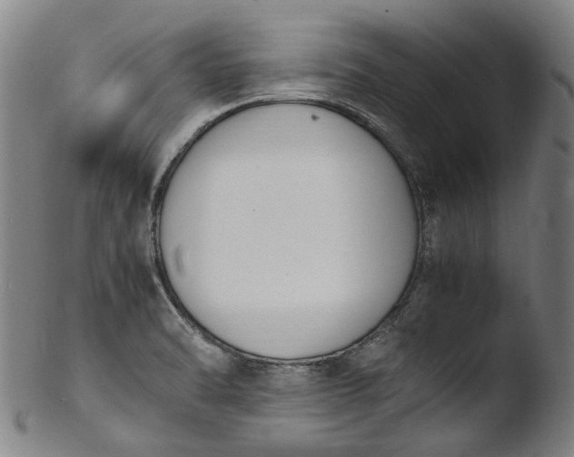 X0000103451470200809261805