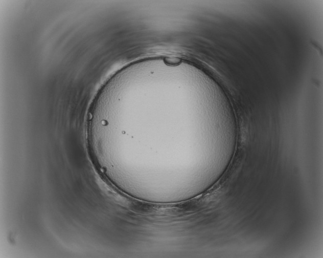 X0000103451471200809261805