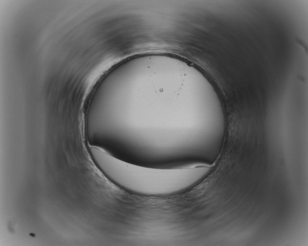 X0000103451472200809261805