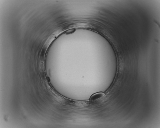 X0000103451473200809261805