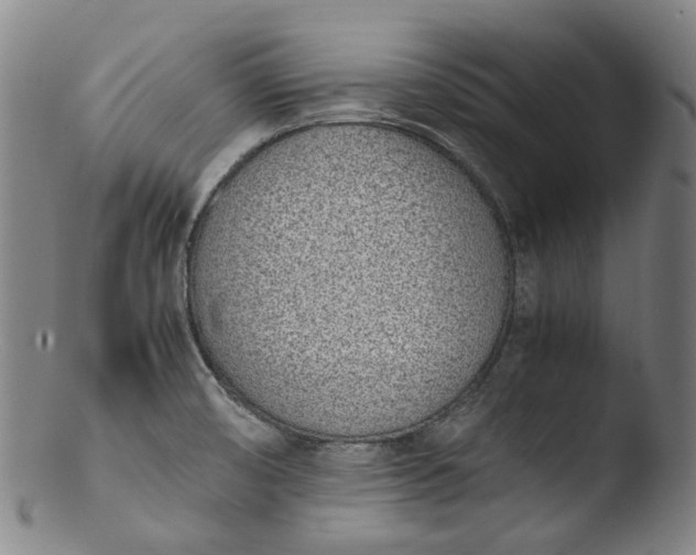 X0000103451474200809261805