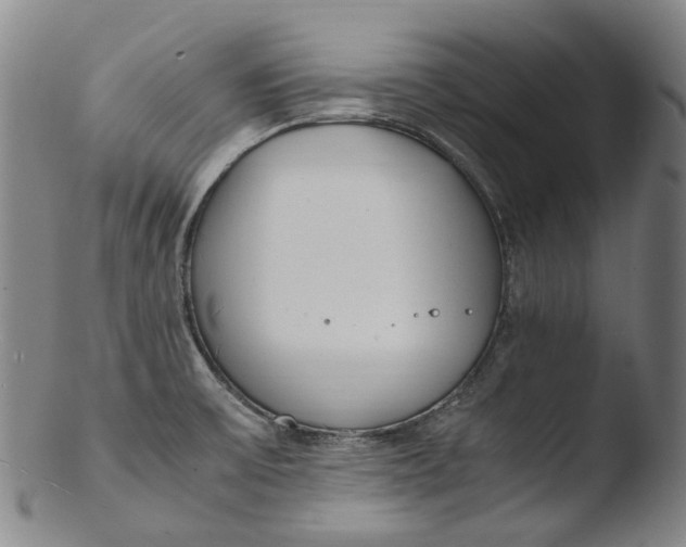 X0000103451475200809261805