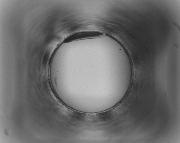 X0000103451477200809261805